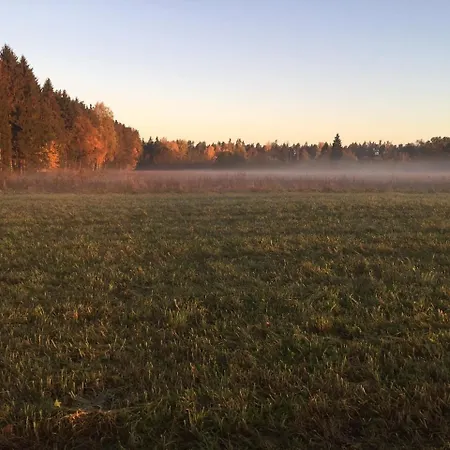 Forest With Sauna In *